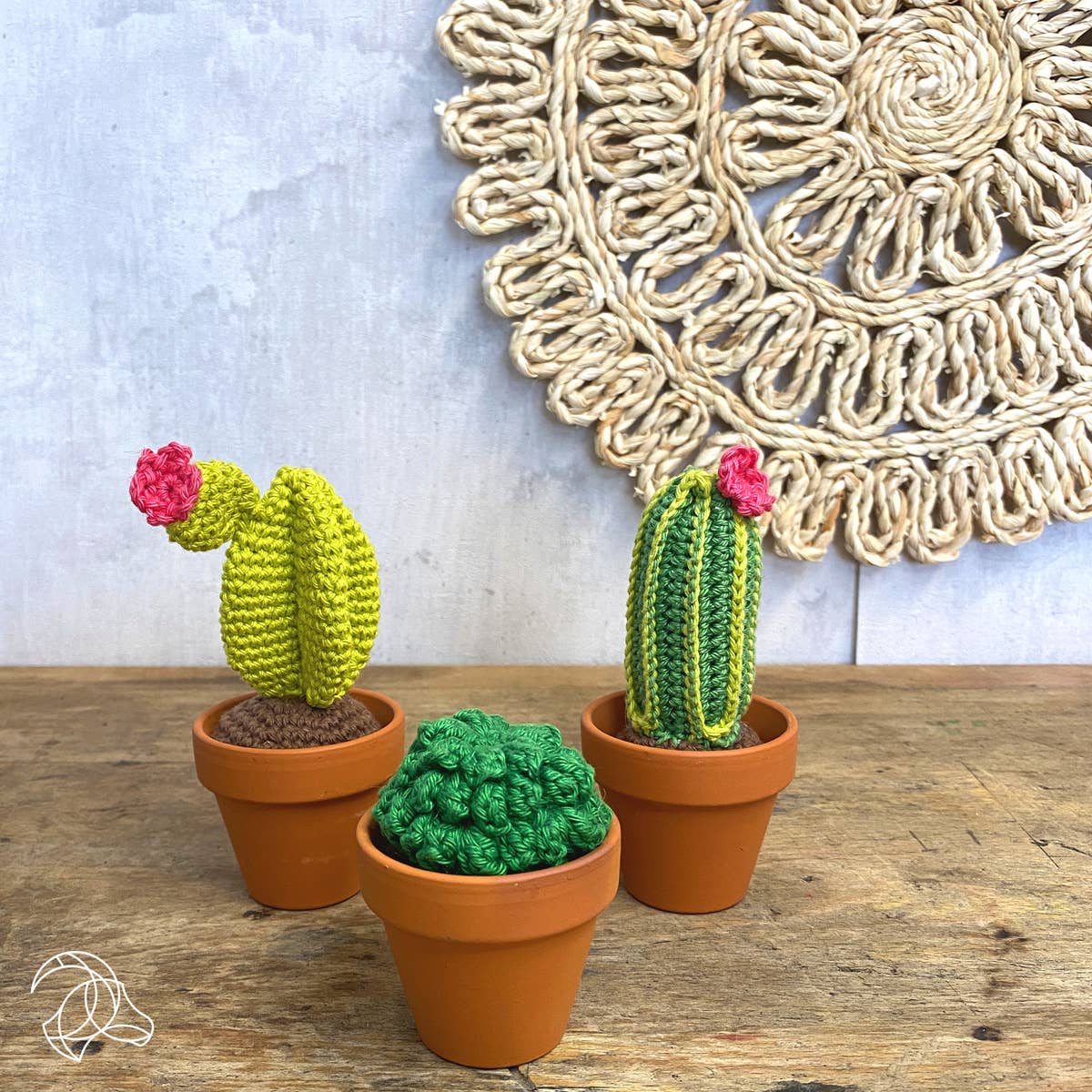 Kit amigurumi hardicraft petits cactus