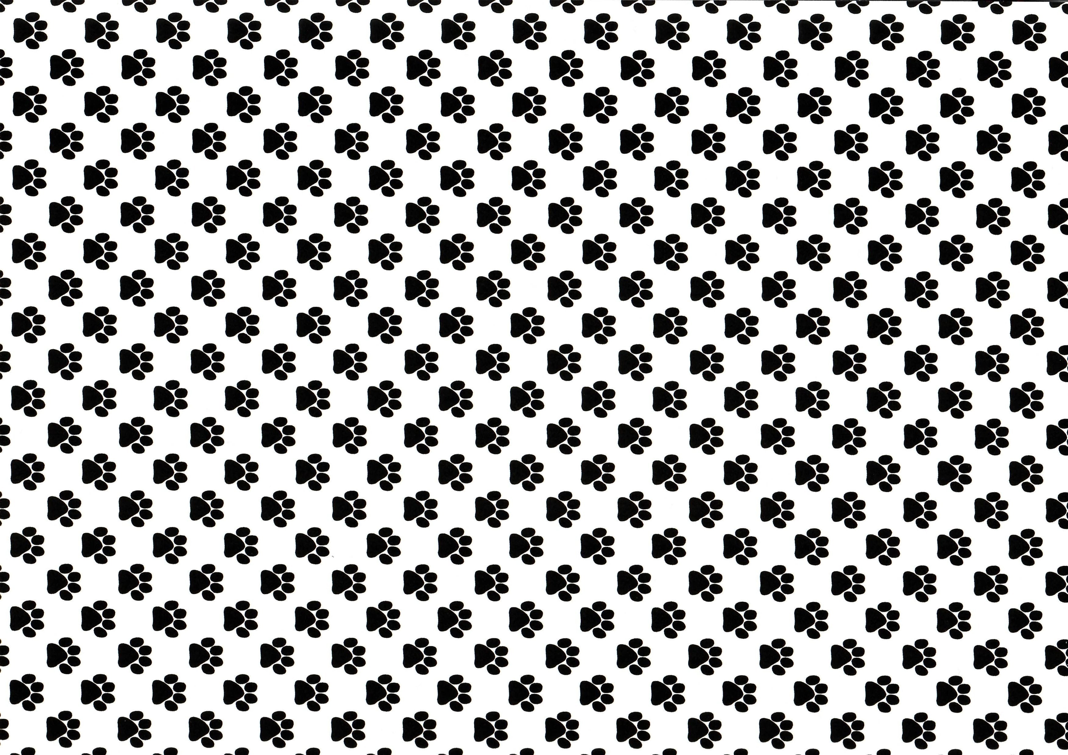 Black zebra patterned craft vinyl sheet - HTV / heat transfer vinyl 