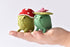 DelilahIris Designs - DIY Crafts Felt Frog Sewing Kit - Mushroom and Lilly Pad