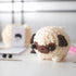 Mohu - Crochet kit - amigurumi pug dog craft kit