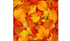 Autumn Leaves  Heat Transfer Vinyl and Carrier Sheet