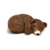 The Crafty Kit Company - Sleepy Brown Bear Needle Felting Kit