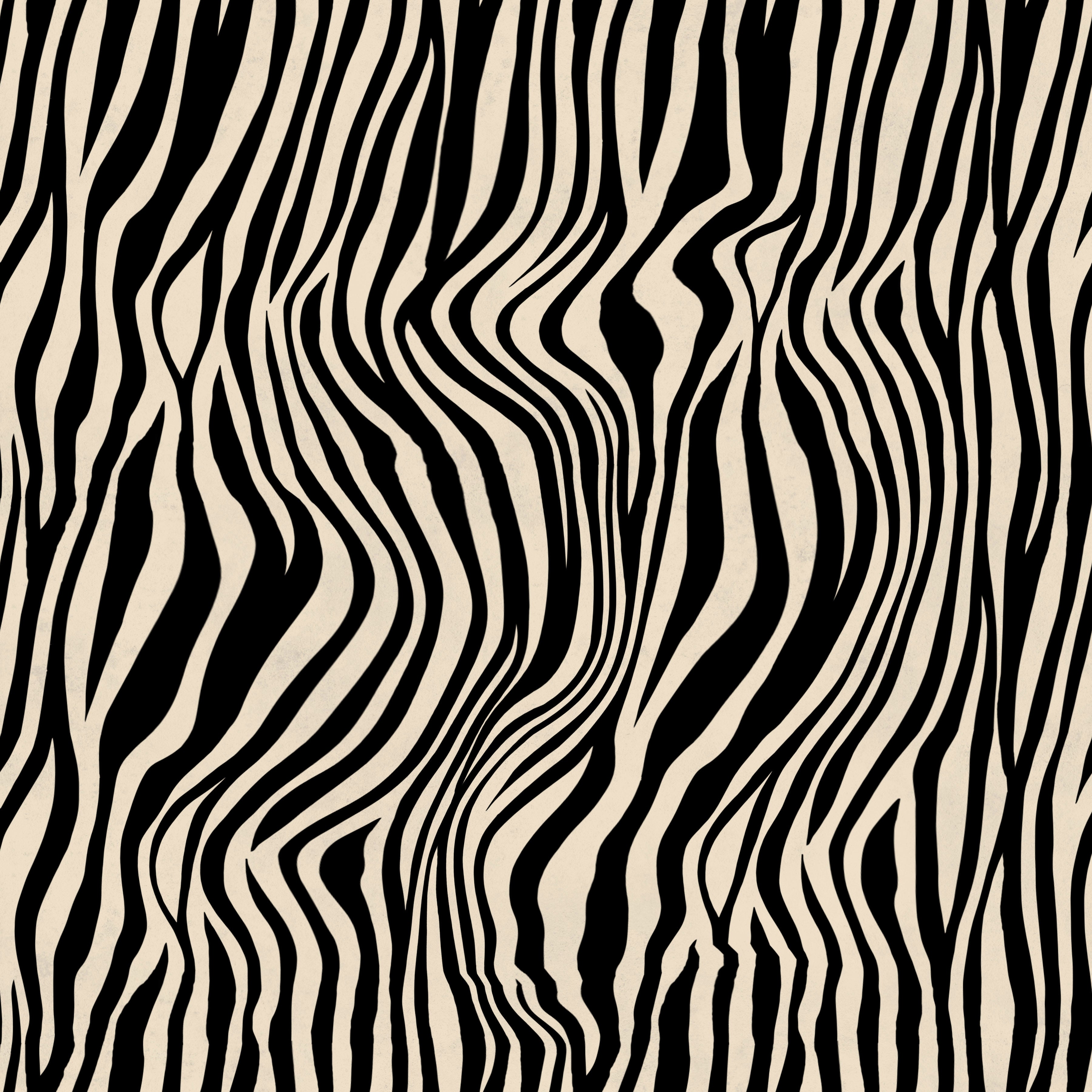 Zebra Print Pattern Heat Transfer Vinyl and Carrier Sheet